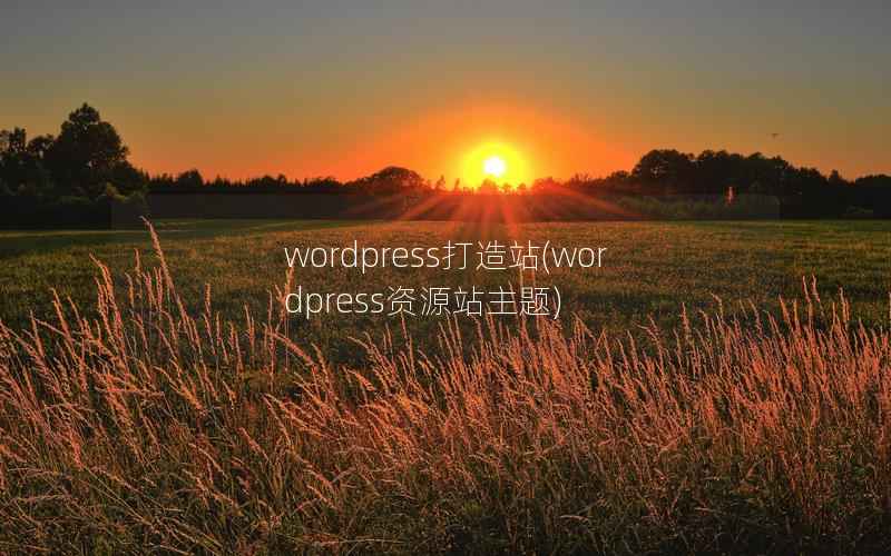 wordpress打造站，wordpress资源站主题