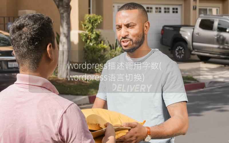 WordPress描述调用字数，WordPress语言切换