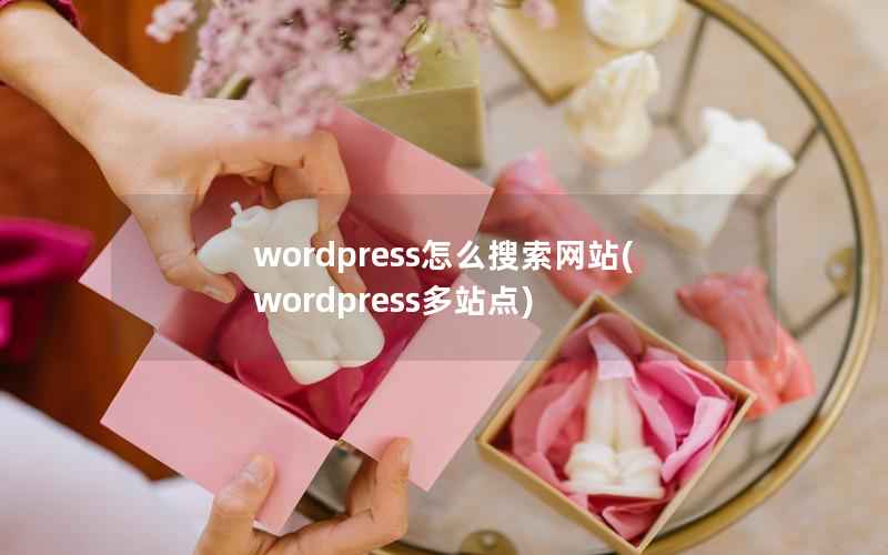 WordPress怎么搜索网站，WordPress多站点