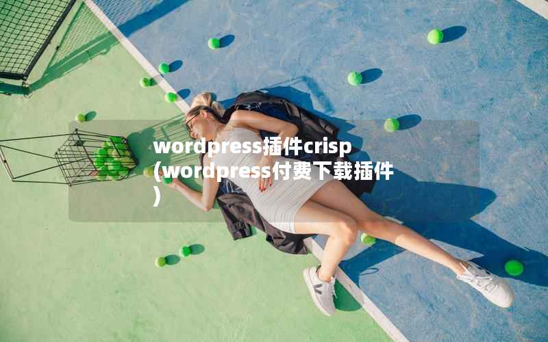 WordPress插件crisp，WordPress付费下载插件