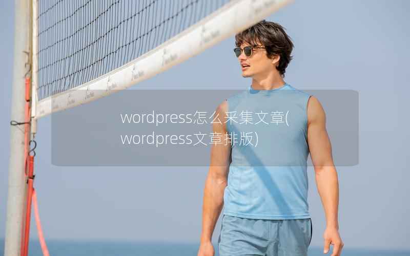 wordpress怎么釆集文章，wordpress文章排版