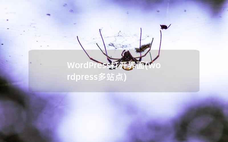 WordPress打开界面,wordpress多站点 WordPress打开界面,wordpress多站点