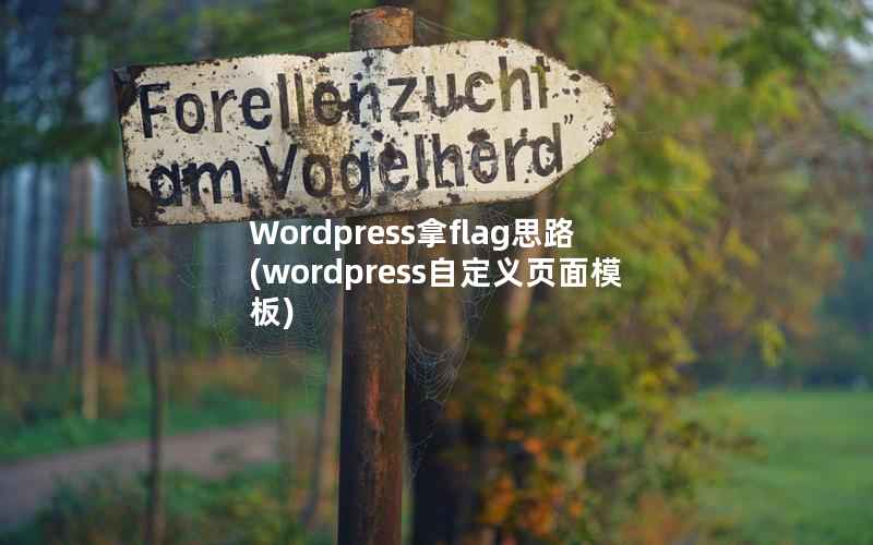 Wordpress拿flag思路，wordpress自定义页面模板