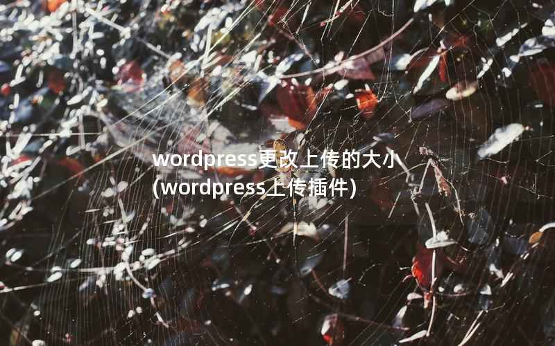 WordPress更改上传的大小，WordPress上传插件