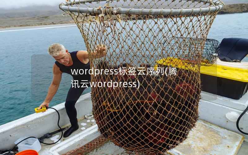 wordpress标签云序列，腾讯云wordpress
