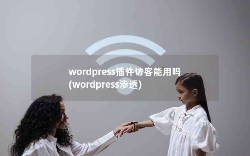 wordpress插件访客能用吗，wordpress渗透