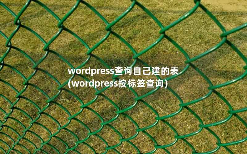wordpress查询自己建的表,wordpress按标签查询 wordpress查询自己建的表,wordpress按标签查询