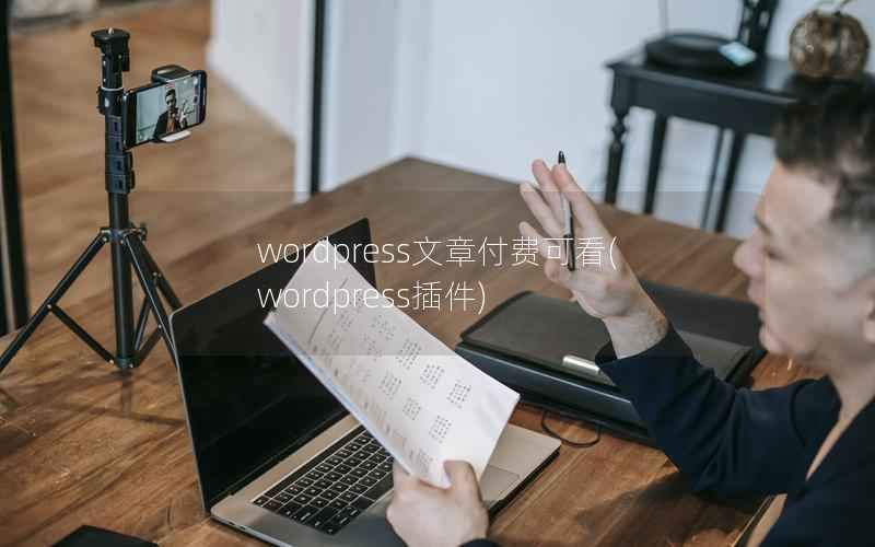 wordpress文章付费可看，wordpress插件
