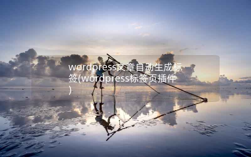 wordpress文章自动生成标签，wordpress标签页插件