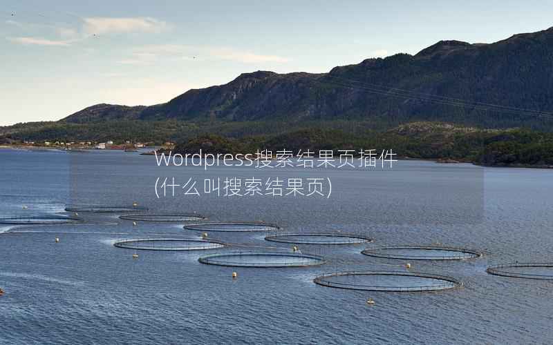 Wordpress搜索结果页插件,什么叫搜索结果页 Wordpress搜索结果页插件,什么叫搜索结果页