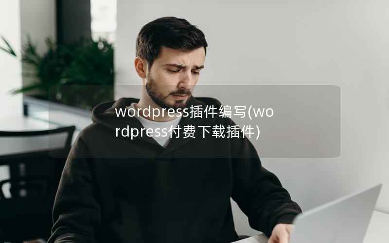 WordPress插件编写，WordPress付费下载插件