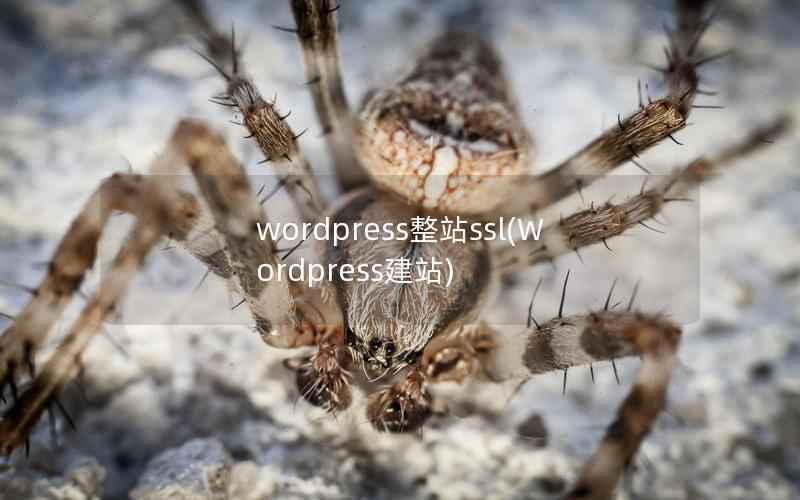 wordpress整站ssl，Wordpress建站