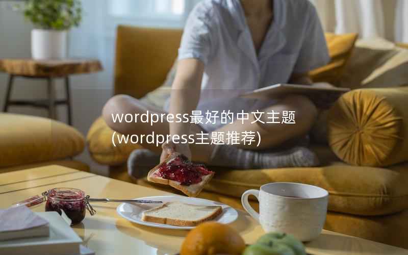 WordPress最好的中文主题，WordPress主题推荐