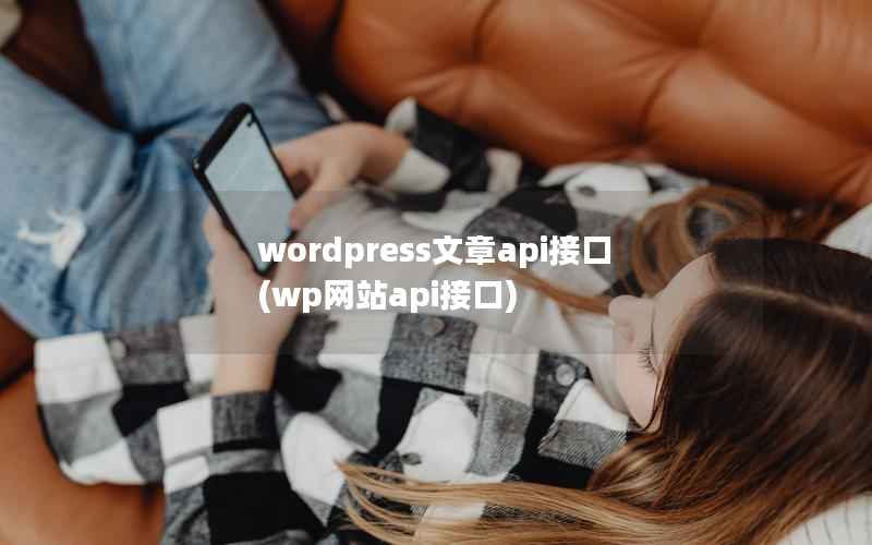 WordPress文章api接口，wp网站api接口