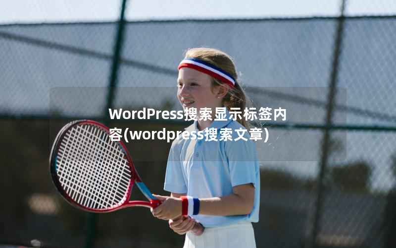 WordPress搜索显示标签内容，WordPress搜索文章
