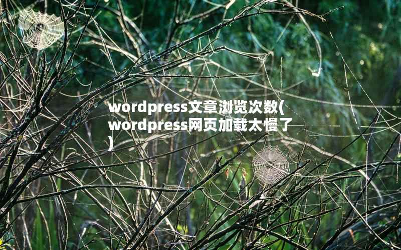 wordpress文章浏览次数，wordpress网页加载太慢了