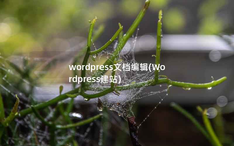 WordPress文档编辑，Wordpress建站
