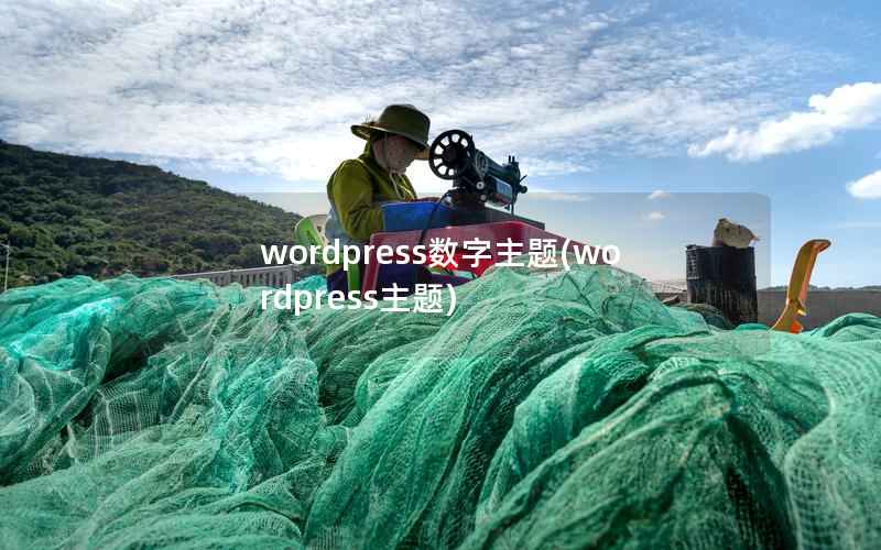 wordpress数字主题，wordpress主题