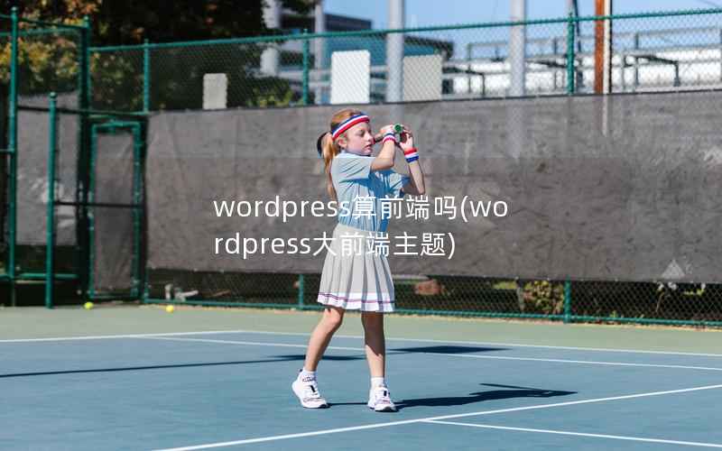 wordpress算前端吗，wordpress大前端主题