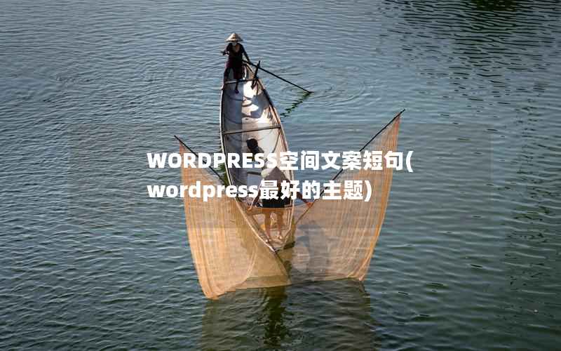 WORDPRESS空间文案短句，wordpress最好的主题