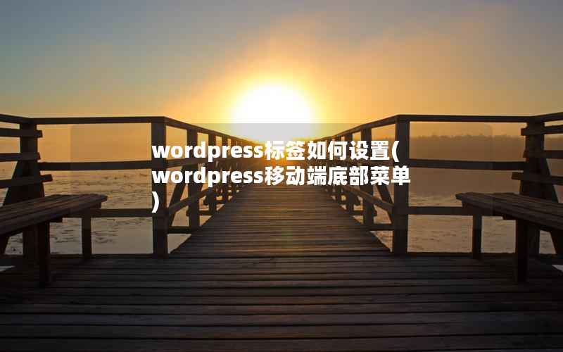 wordpress标签如何设置,wordpress移动端底部菜单 wordpress标签如何设置,wordpress移动端底部菜单