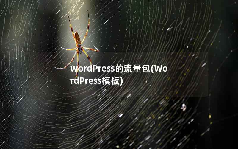 wordPress的流量包，WordPress模板