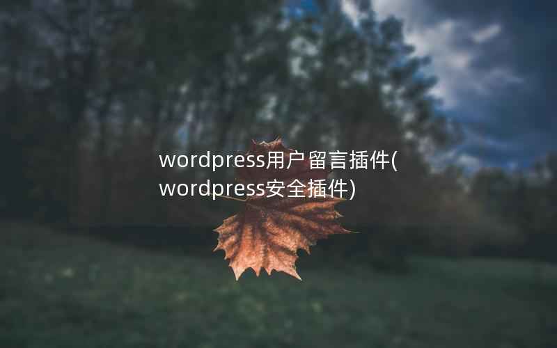 wordpress用户留言插件，wordpress安全插件