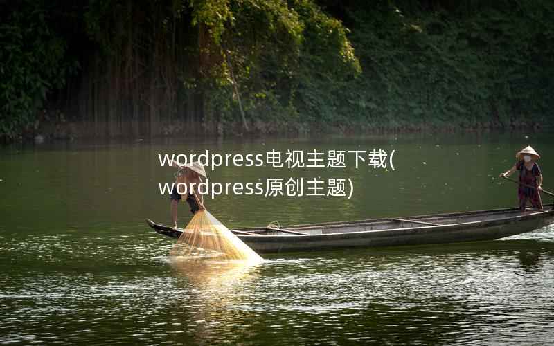 wordpress电视主题下载，wordpress原创主题