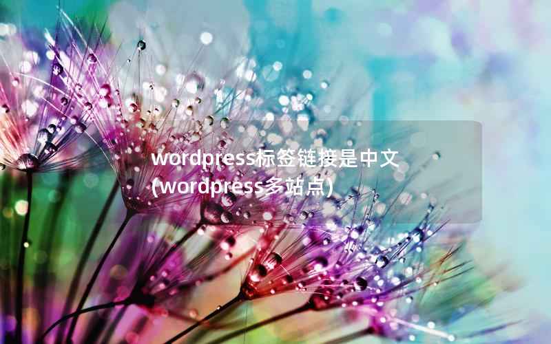 wordpress标签链接是中文，wordpress多站点