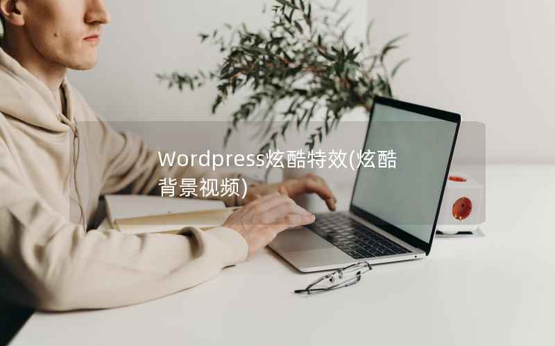 Wordpress炫酷特效，炫酷背景视频