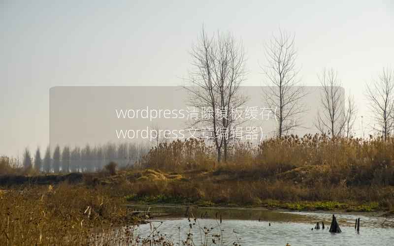 wordpress清除模板缓存，wordpress文章编辑器