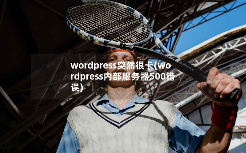wordpress突然很卡，wordpress内部服务器500错误