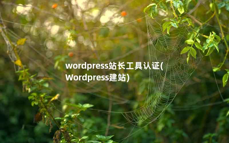 wordpress站长工具认证，Wordpress建站
