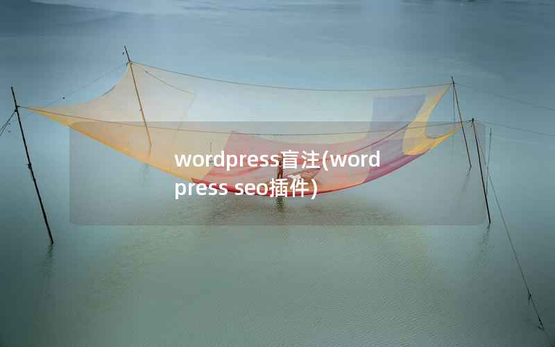 wordpress盲注，wordpress seo插件