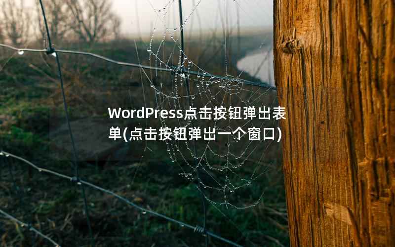WordPress点击按钮弹出表单，点击按钮弹出一个窗口