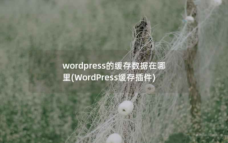 wordpress的缓存数据在哪里,WordPress缓存插件 wordpress的缓存数据在哪里,WordPress缓存插件