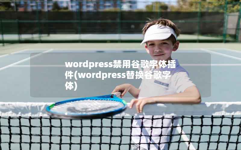 WordPress禁用谷歌字体插件，WordPress替换谷歌字体