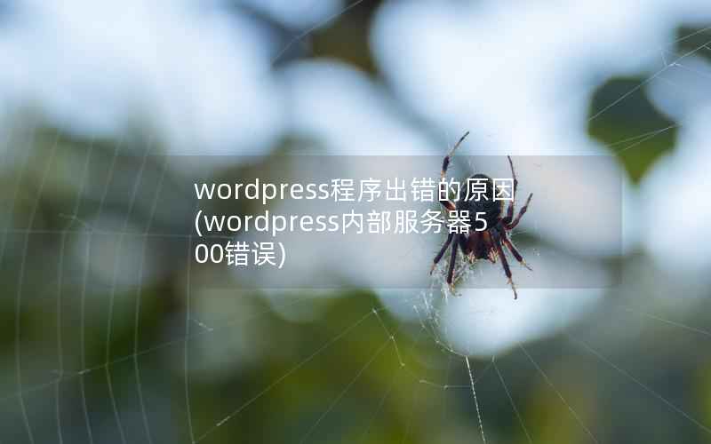 wordpress程序出错的原因，wordpress内部服务器500错误
