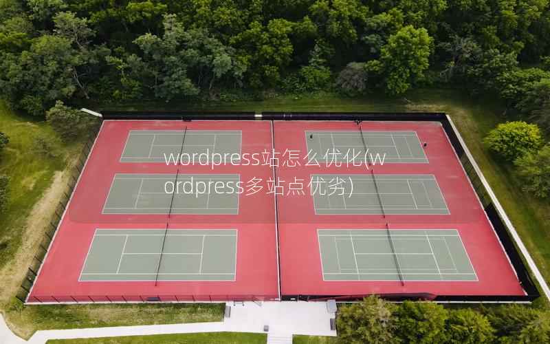 wordpress站怎么优化，wordpress多站点优劣