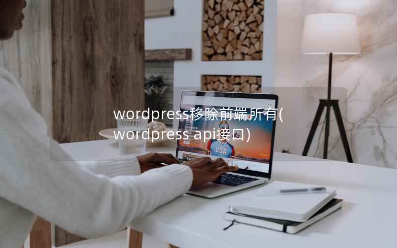 WordPress移除前端所有，WordPress api接口