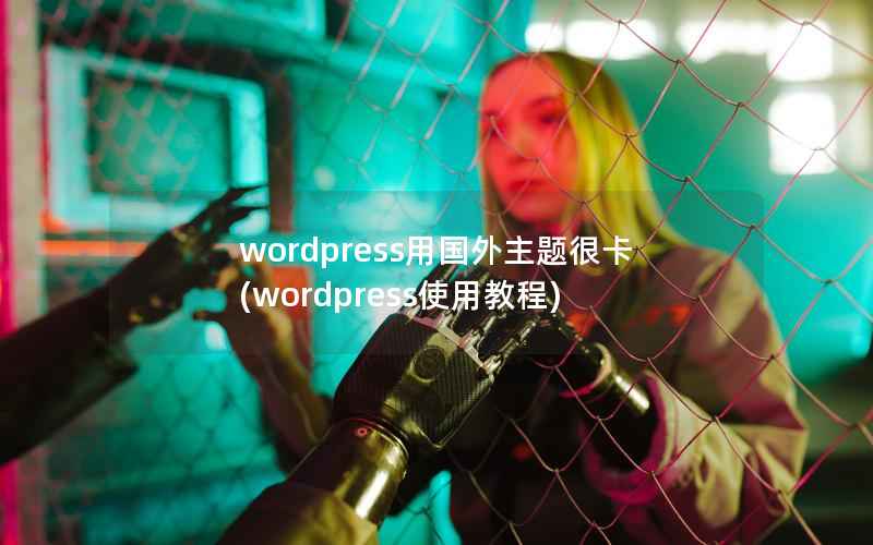 wordpress用国外主题很卡，wordpress使用教程