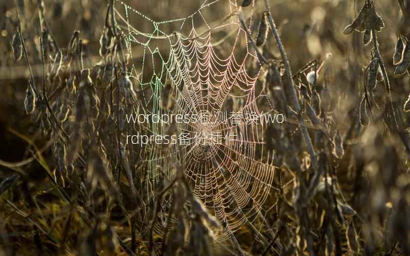 WordPress检测替换，WordPress备份插件