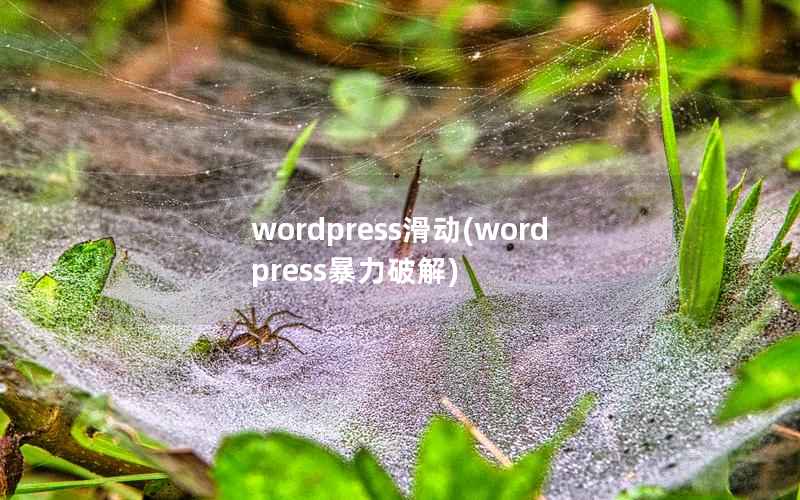 wordpress滑动，wordpress暴力破解