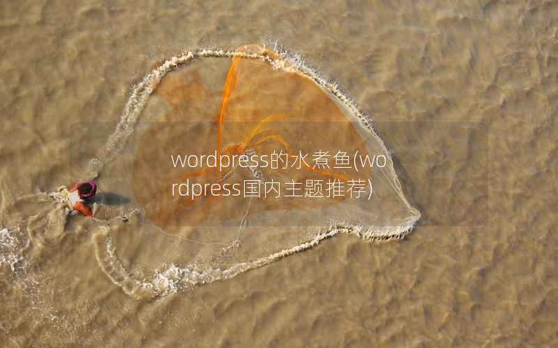 wordpress的水煮鱼，wordpress国内主题推荐