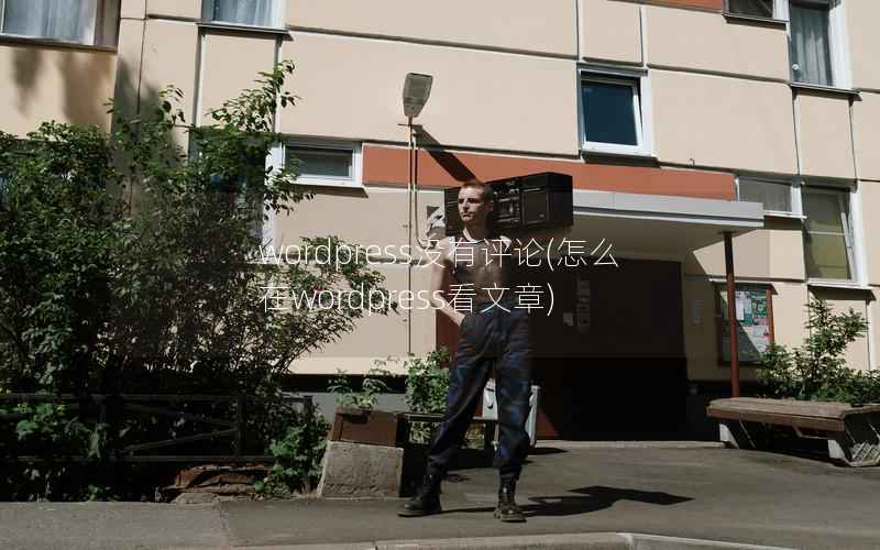 wordpress没有评论，怎么在wordpress看文章