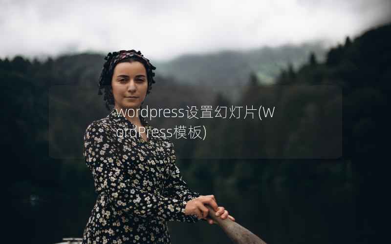 WordPress设置幻灯片，WordPress模板