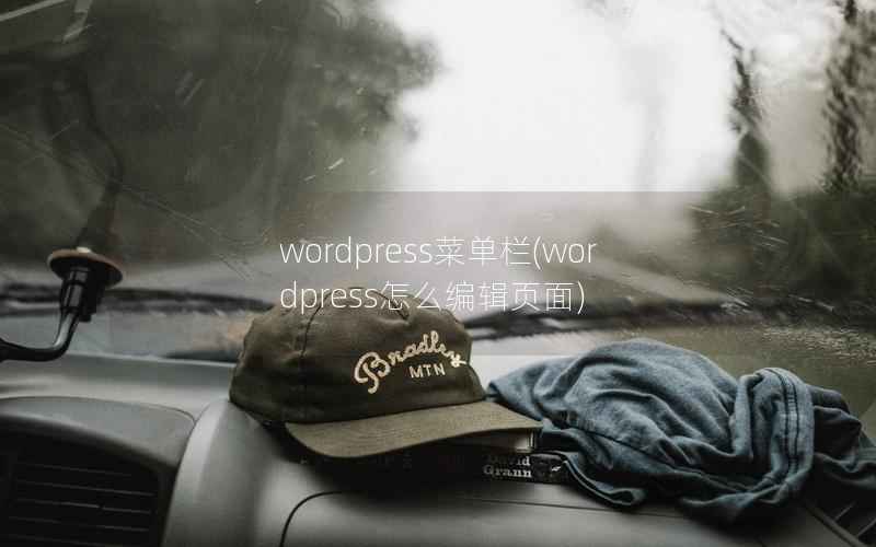 WordPress菜单栏，WordPress怎么编辑页面