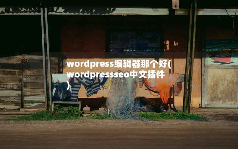 WordPress编辑器那个好，WordPressseo中文插件