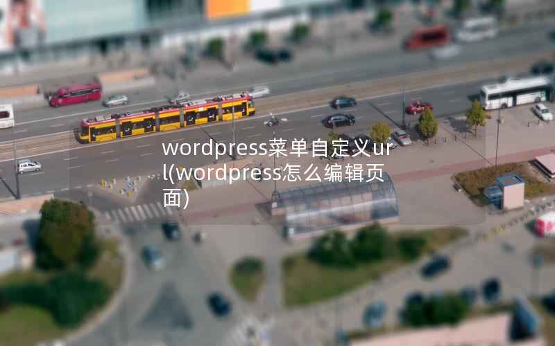 WordPress菜单自定义url，WordPress怎么编辑页面