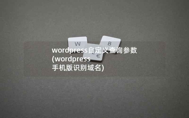 WordPress自定义查询参数，WordPress 手机版识别域名